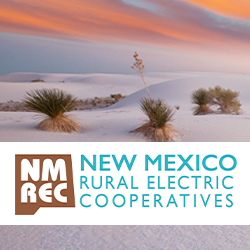 NMREC